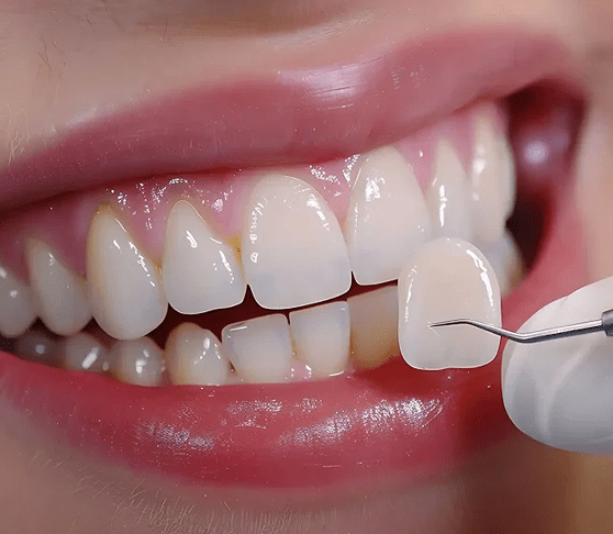Dental Clinic